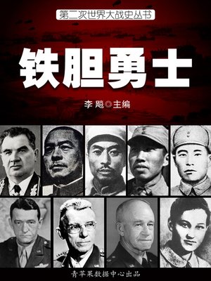cover image of 铁胆勇士